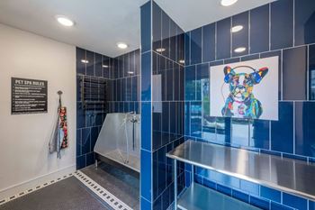 A pet spa rules sign is on the wall in a room with blue tiles.