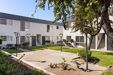 A tree in front of a building with a red sign on it.