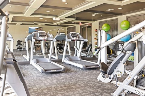 A gym with treadmills, elliptical machines, and other exercise equipment.