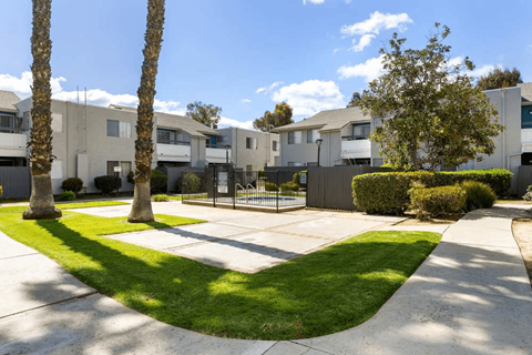 A sunny day at a residential area with houses and palm trees.