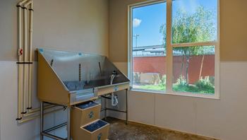 A room with a large window and a sink.