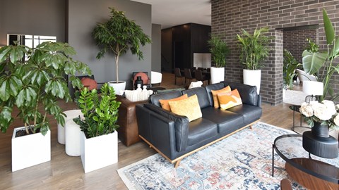 A living room with a black couch and a large rug.