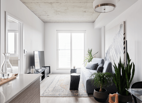 A modern living room with a grey couch and a large window.