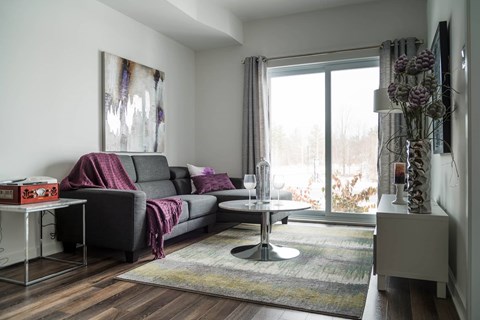 A living room with a grey couch and a purple throw.