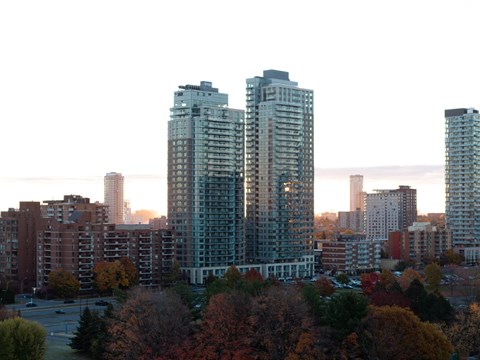 A cityscape with trees in autumnal colors in the foreground at The Dale Apartments , Ottawa, ON, K1Y 4Y5