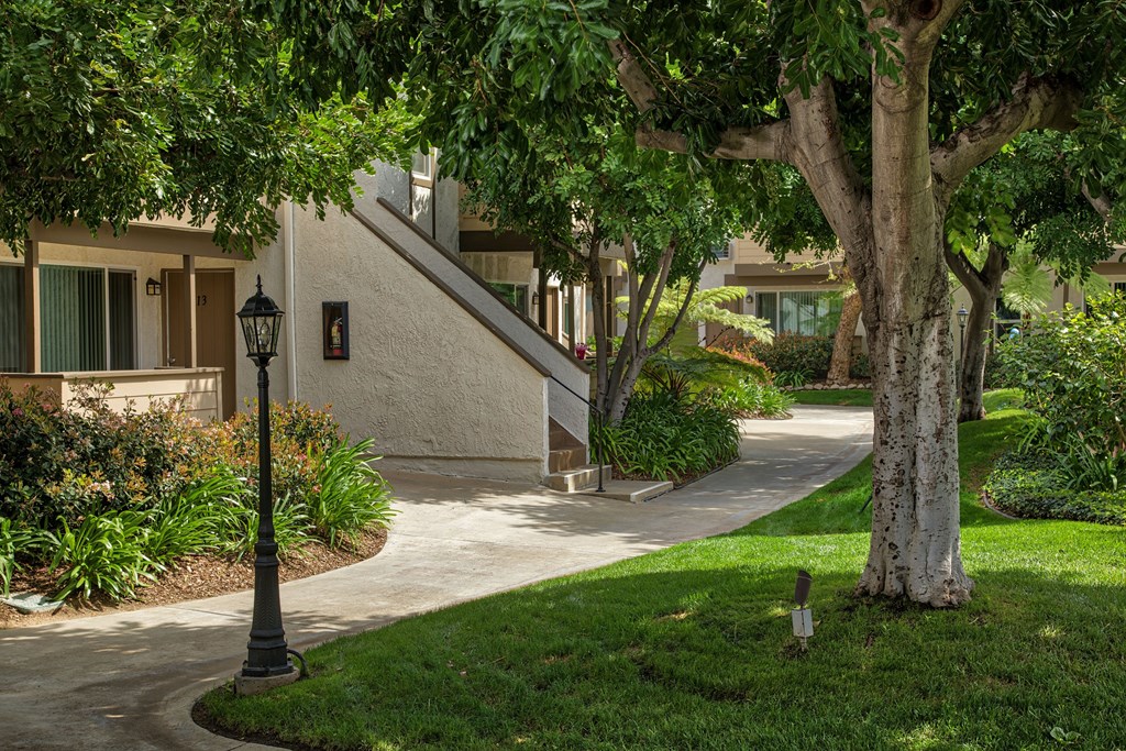 A path through the apartment courtyard surrounded by grass and trees.
