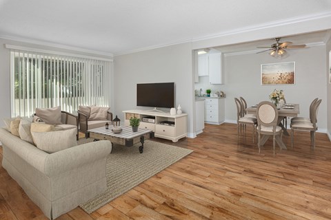 A living room with a couch, a coffee table, and a television.