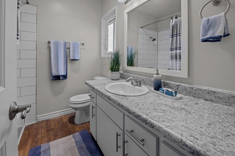 A bathroom with a toilet, sink, and mirror.