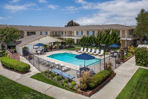 A swimming pool surrounded by a fence and umbrellas in a residential area.