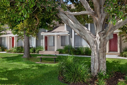 Trees in front of an apartment building with a bench under it.