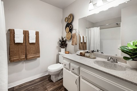A bathroom with a toilet, sink, mirror, and towel rack.