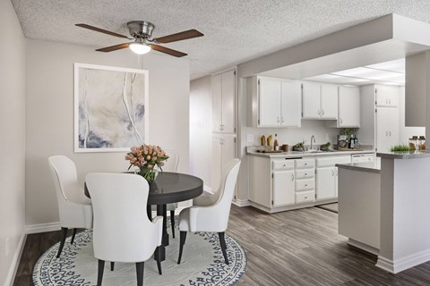 A kitchen with a table and chairs in the foreground and a countertop with a sink and a plant on it in the background.
