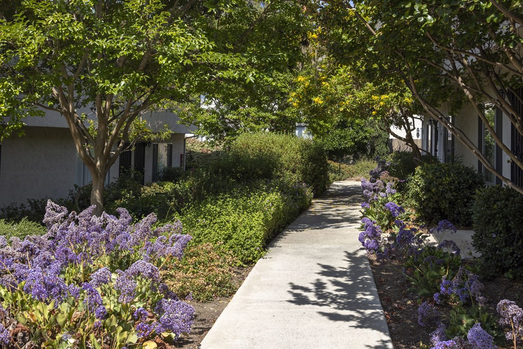 A pathway with purple flowers on the side and trees on both sides.