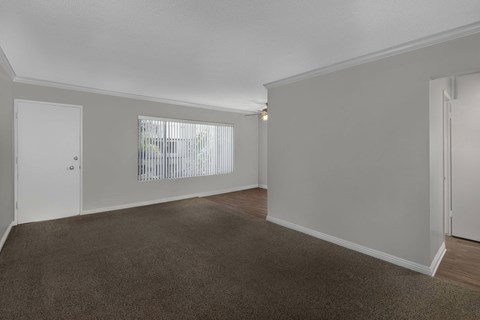 A room with a carpeted floor and white walls.