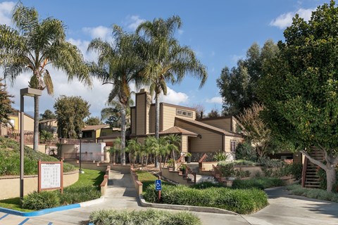 Palm trees around the entrance to the apartments.