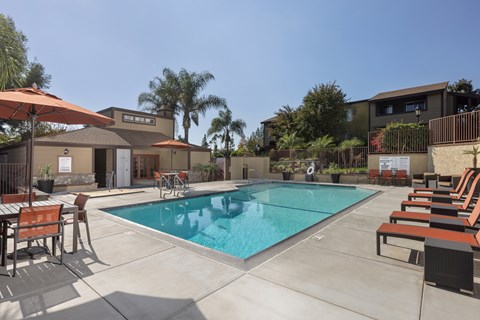 A pool surrounded by chairs and umbrellas with a building in the background.