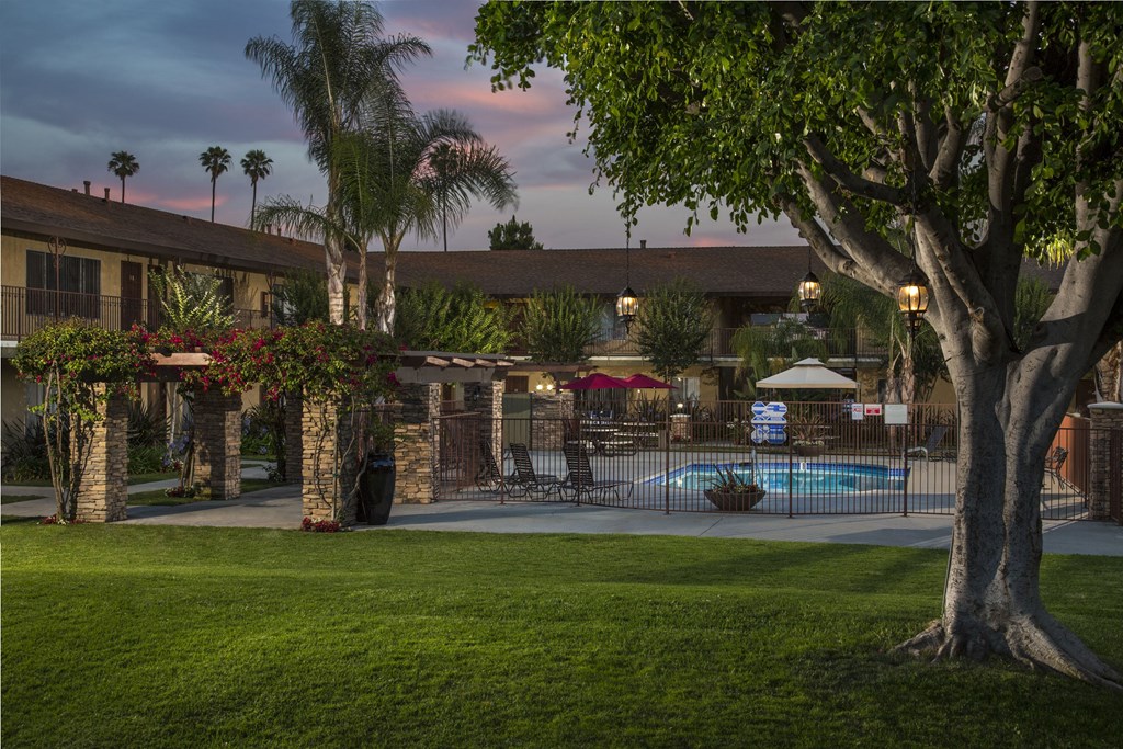 A pool area with a tree in the foreground and a building in the background.