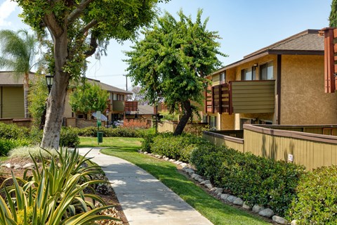 A tree in a grassy area in front of a building.