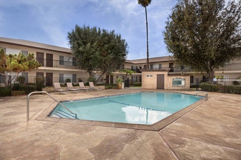 A pool surrounded by a patio and trees.