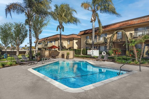A pool surrounded by palm trees and a building in the background.