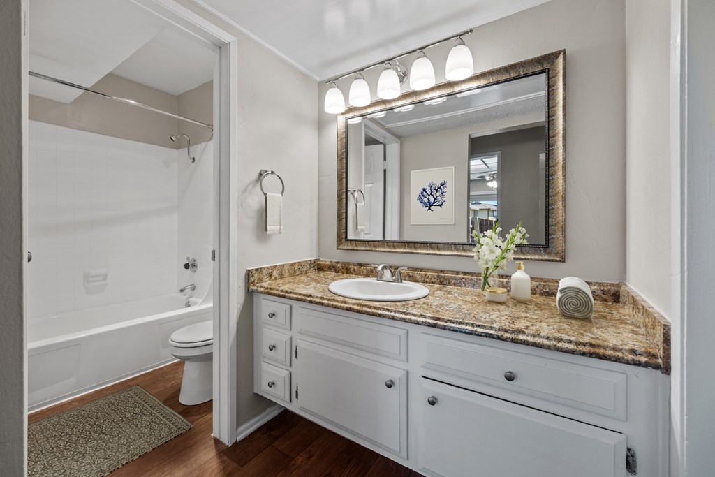 A bathroom with a granite countertop and a large mirror.