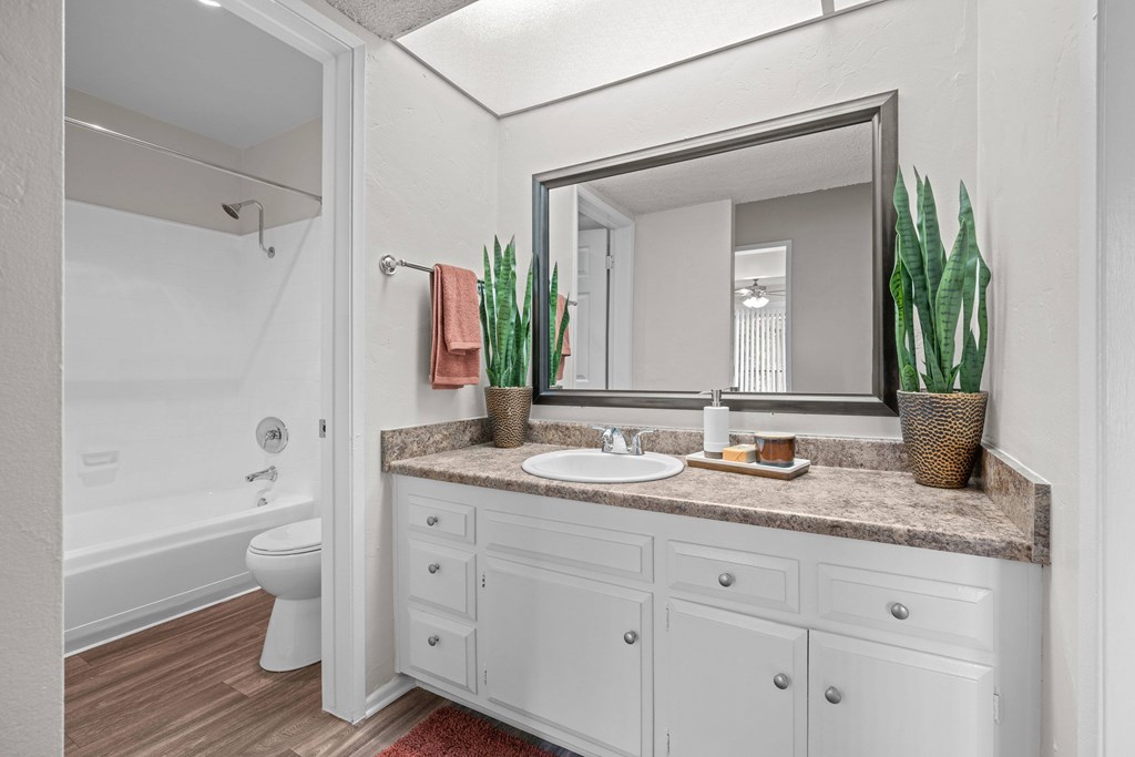 A bathroom with a white vanity and a mirror above it.