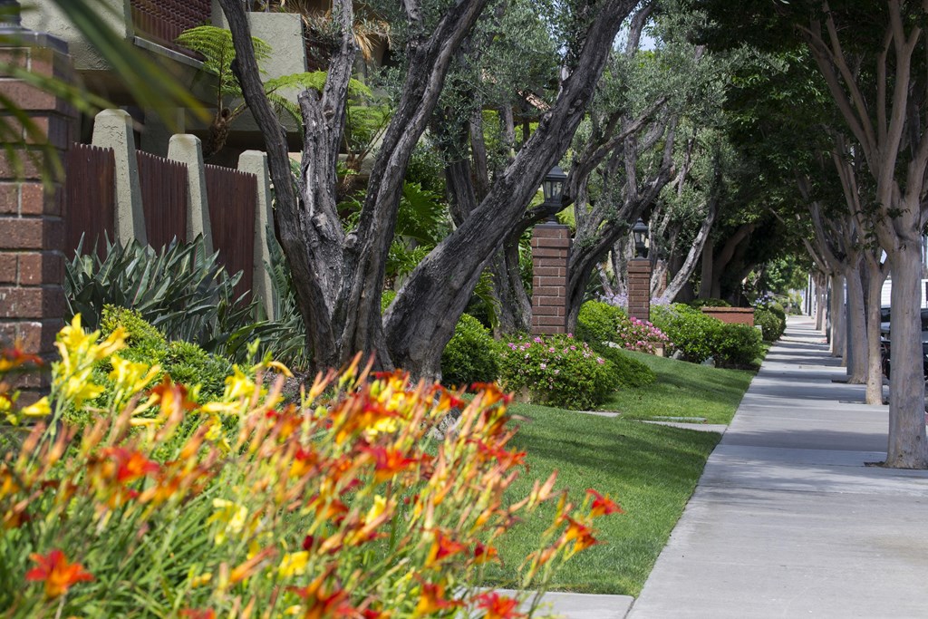 A sidewalk runs down a tree-lined street.