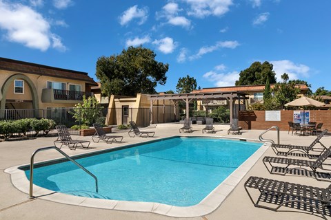 A large outdoor swimming pool surrounded by sun loungers and trees.