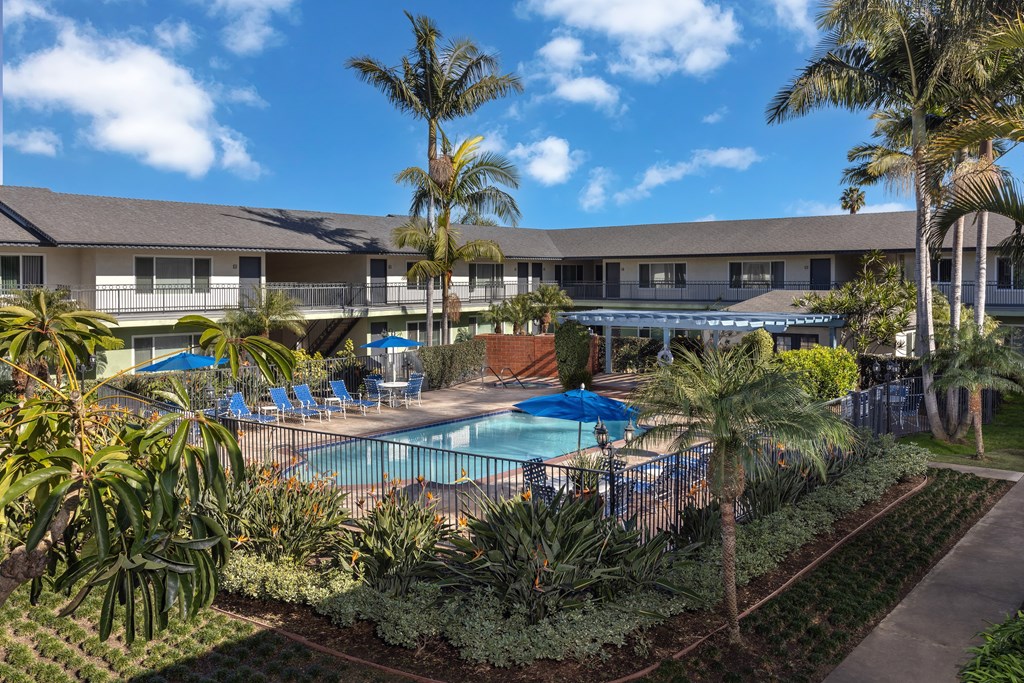 A pool surrounded by palm trees and plants.