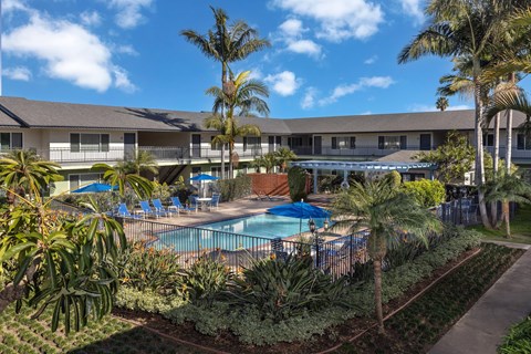 A pool surrounded by palm trees and plants.