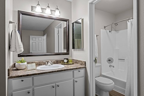 A bathroom with a sink, mirror, and toilet.