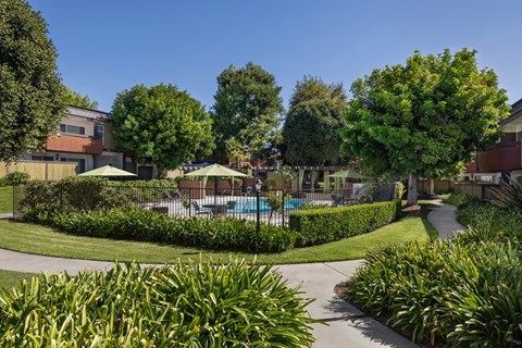 A residential area with a pool and greenery.