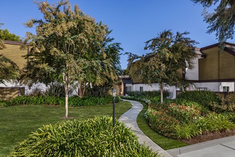 A residential area with a pathway and greenery.