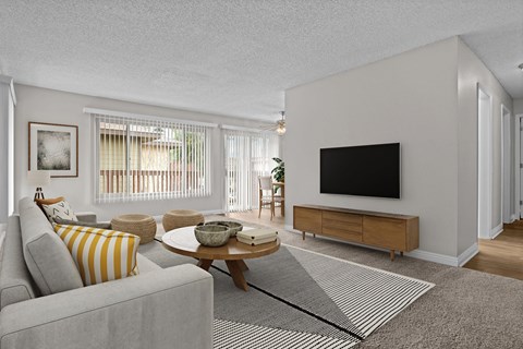 A living room with a grey couch, a coffee table, a flat screen TV, and a rug.
