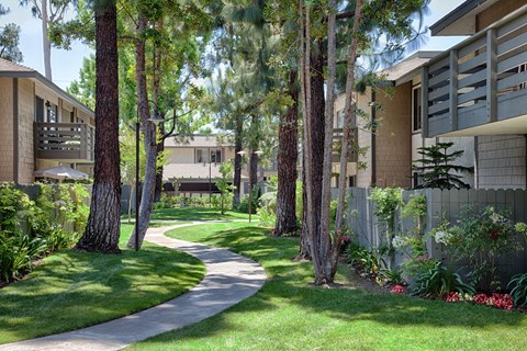 A pathway in a park with trees on either side.