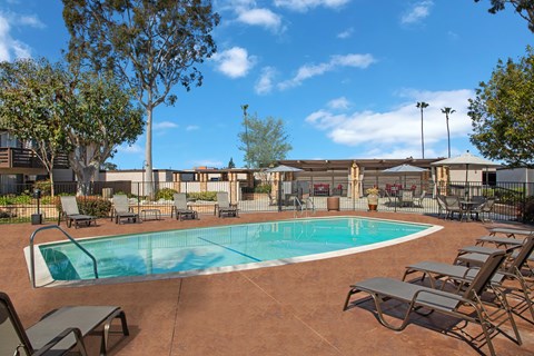 A pool surrounded by chairs and trees.