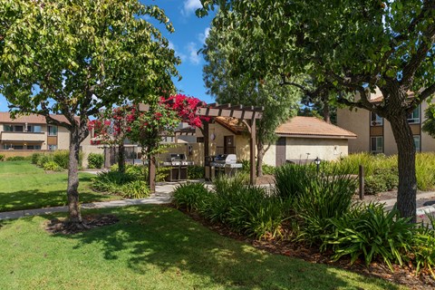 A tree with red flowers is in the middle of a grassy area.