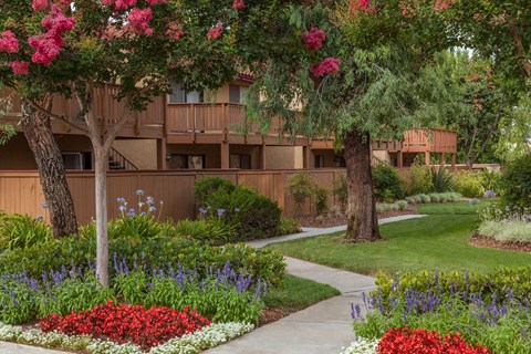 A garden with a variety of flowers in the foreground and a building in the background.