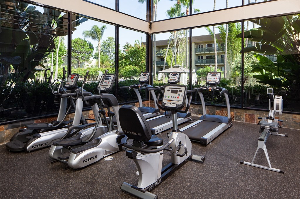 A gym with treadmills and exercise bikes.