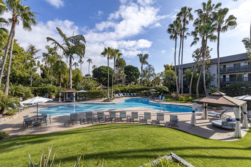 A large swimming pool surrounded by palm trees and lounge chairs.