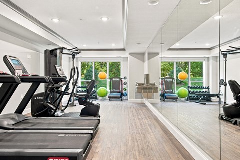 A gym with treadmills, exercise balls, and mirrors.