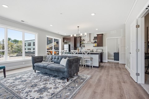 A modern living room with a grey sofa and a patterned rug.