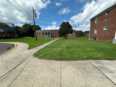 A grassy area in front of a brick building with a tree in the middle.