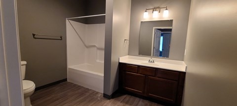 a bathroom with a sink and a shower and a toilet