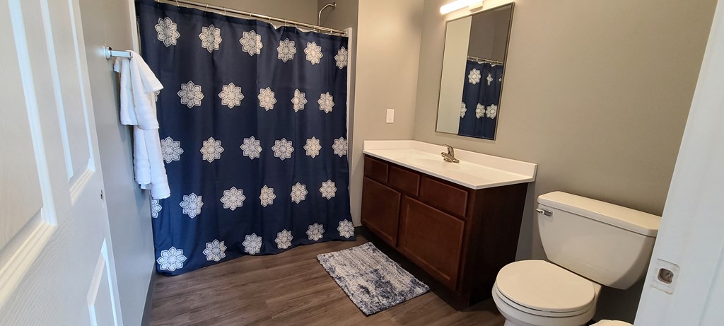 a bathroom with a toilet and a sink and a shower curtain