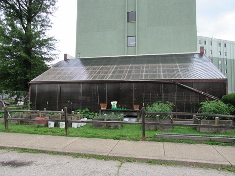 an old greenhouse with a tall building in the background