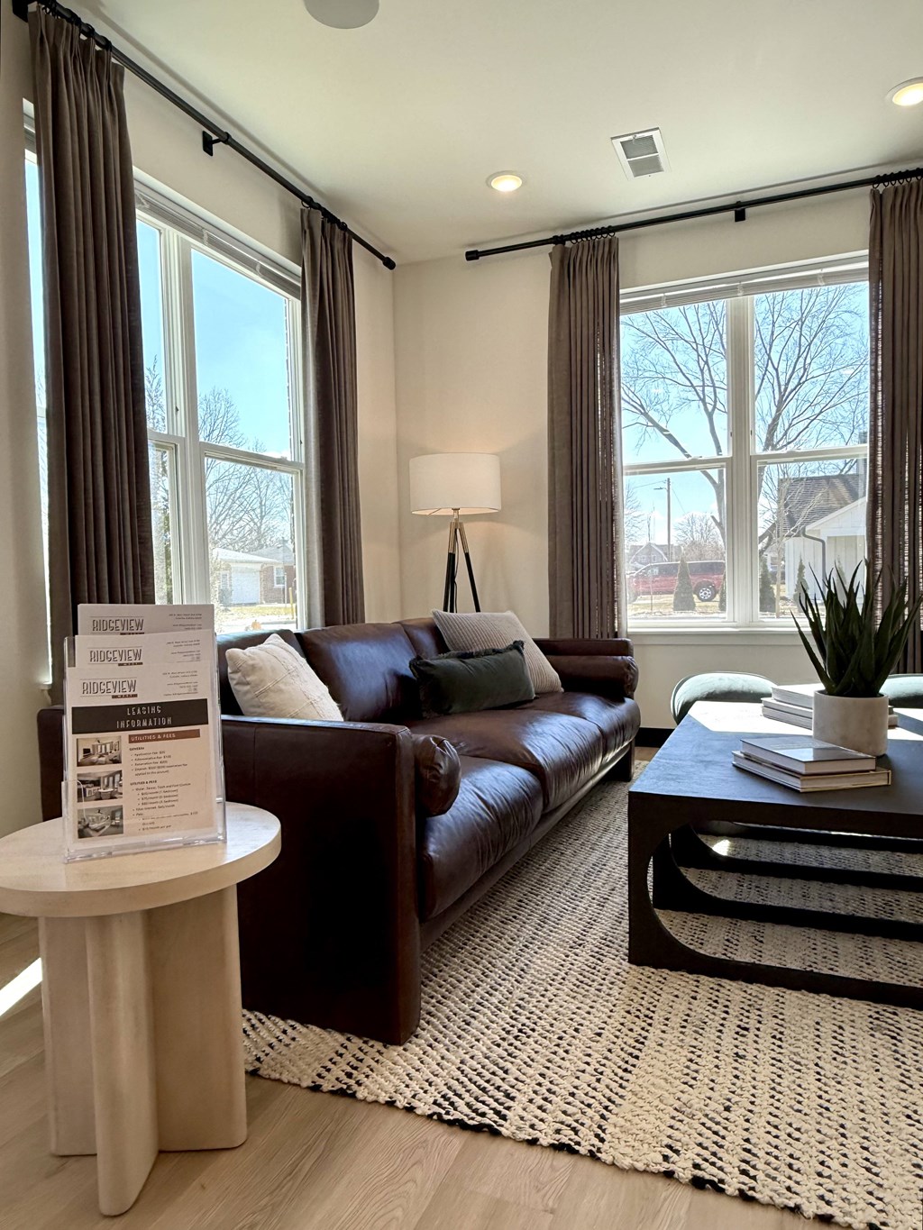 A living room with a brown couch, a white side table, and a coffee table with a plant on it.
