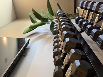 A row of dumbbells are lined up on a bench.