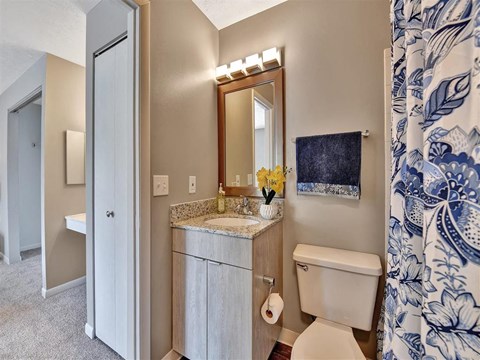 A bathroom with a toilet, sink, mirror, and shower curtain at The Reserve at Grand Valley Apartments, Milford 46150
