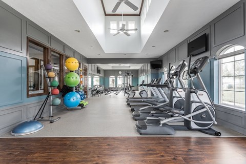 A gym with treadmills and exercise balls.